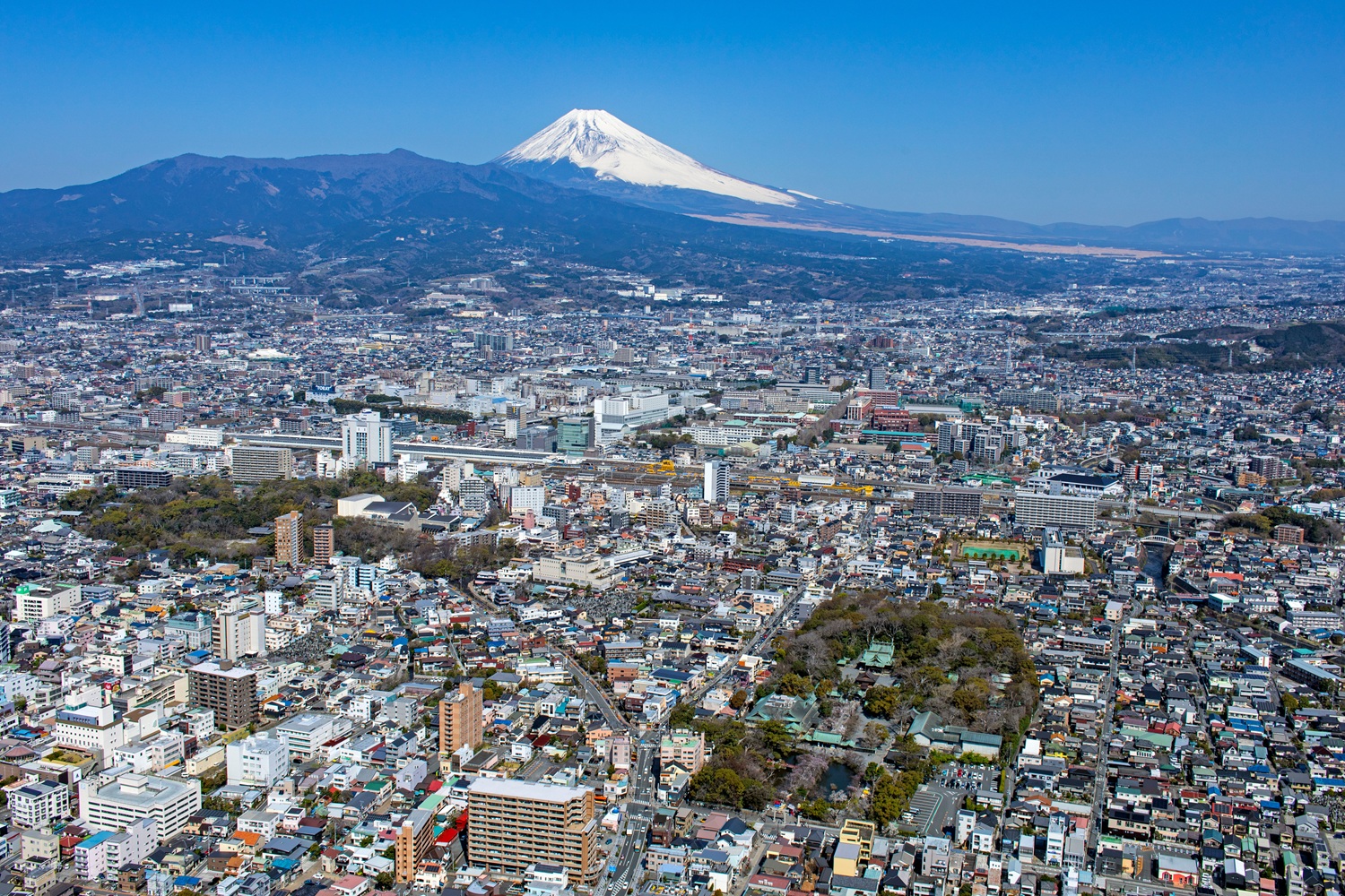 三島市・清水町で口コミ・評判の良い整形外科5選を紹介