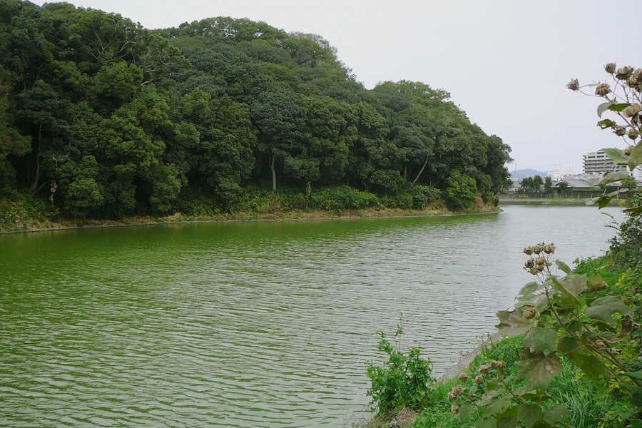 口コミで評判の良い整形外科がある羽曳野市