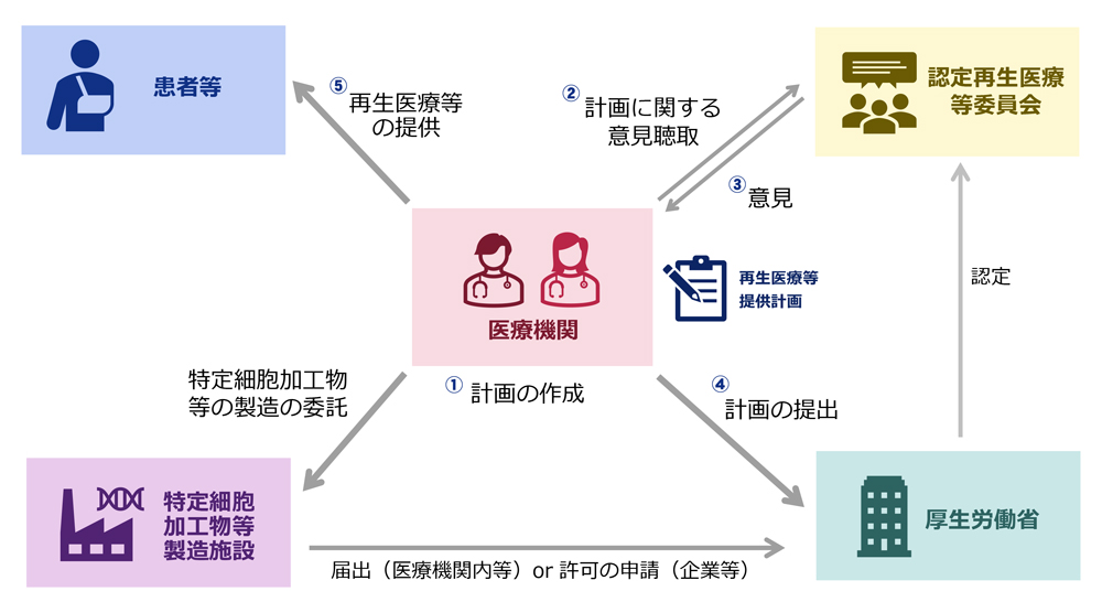 再生医療等の安全性の確保等に関する法律について